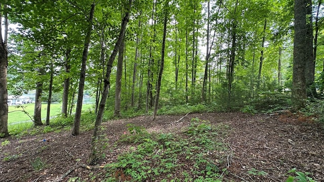 LOT14 E Old Highway 64e, Hayesville, NC 28904