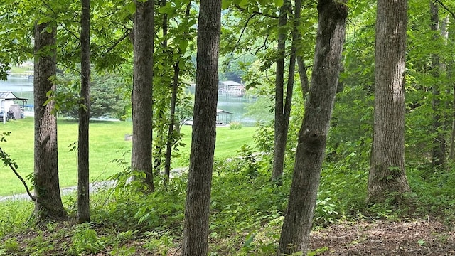 LOT14 E Old Highway 64e, Hayesville, NC 28904