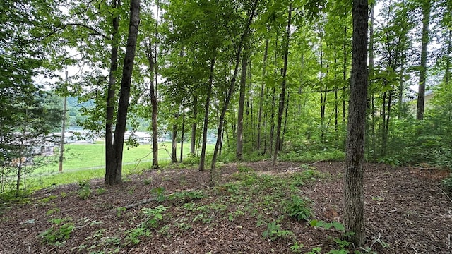 LOT14 E Old Highway 64e, Hayesville, NC 28904