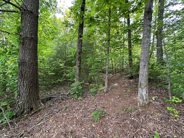 LOT14 E Old Highway 64e, Hayesville, NC 28904