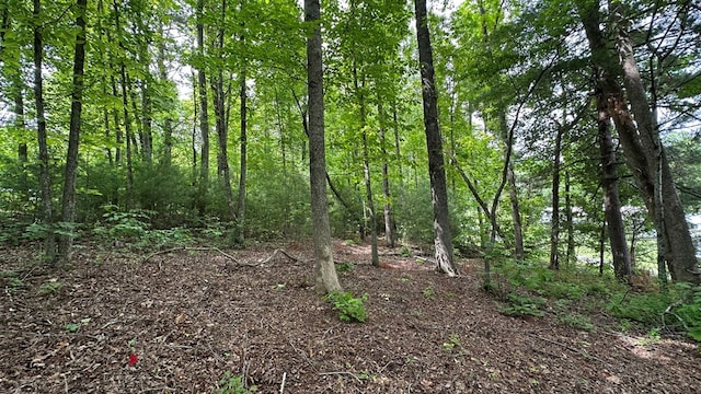 LOT14 E Old Highway 64e, Hayesville, NC 28904