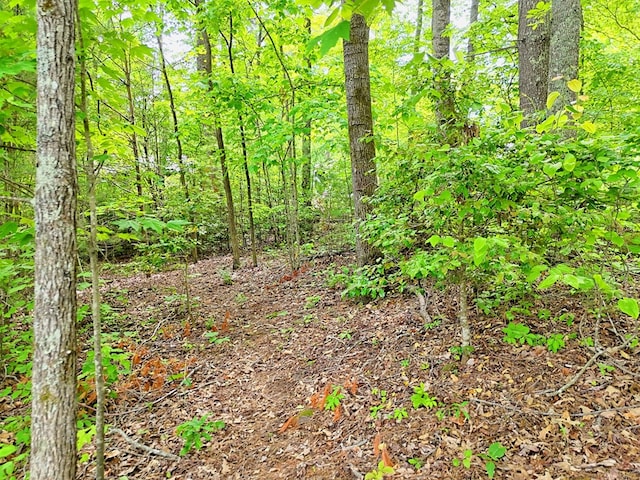LOT14 E Old Highway 64e, Hayesville, NC 28904