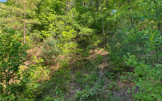 LT4A Trillium Hts, Brasstown, NC 28902