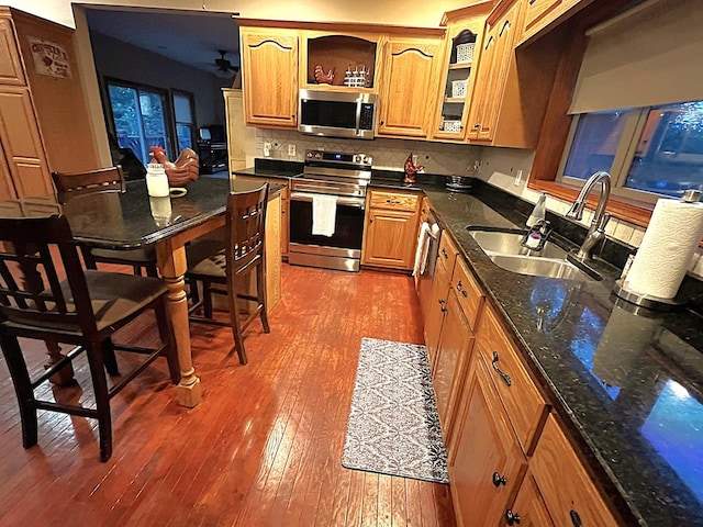 kitchen featuring backsplash, dark hardwood / wood-style flooring, sink, and stainless steel appliances