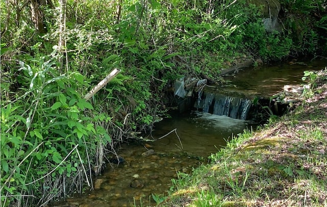 view of nature