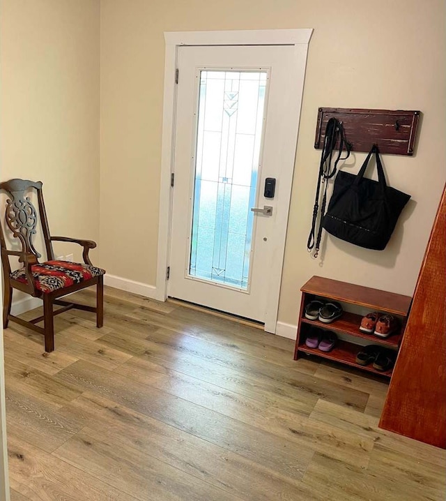 entrance foyer with hardwood / wood-style flooring