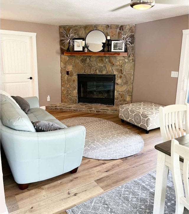 living room with a fireplace and wood-type flooring