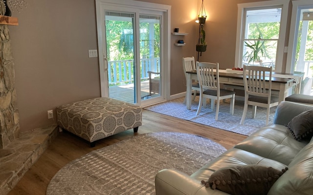 entryway featuring hardwood / wood-style floors