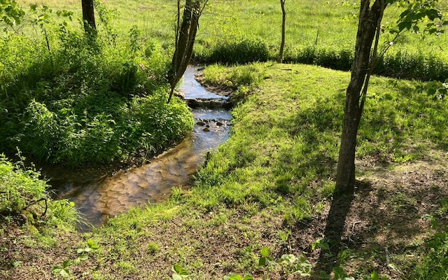 view of local wilderness with a water view