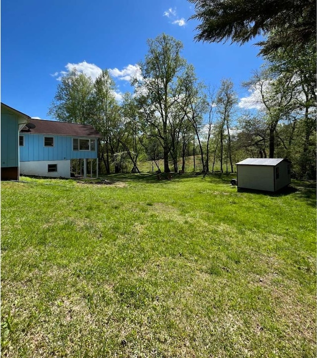 view of yard featuring a storage shed