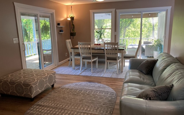 dining space featuring hardwood / wood-style floors and a healthy amount of sunlight