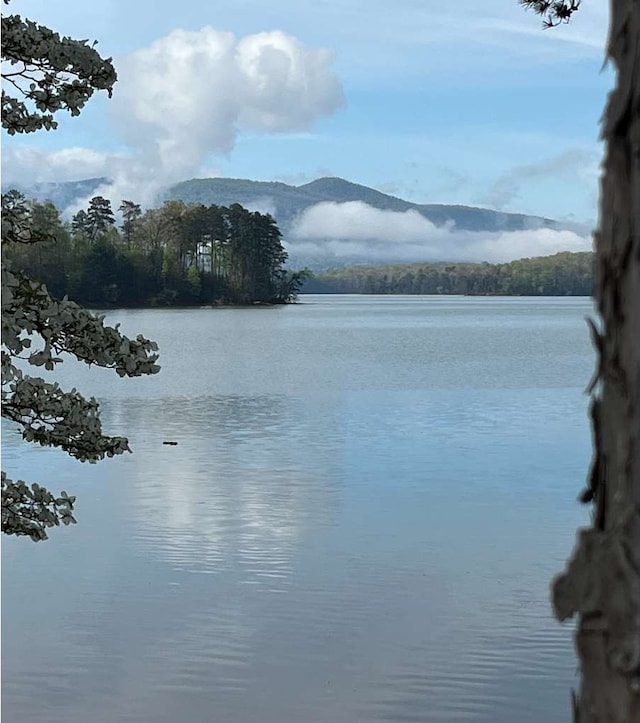 property view of water with a mountain view