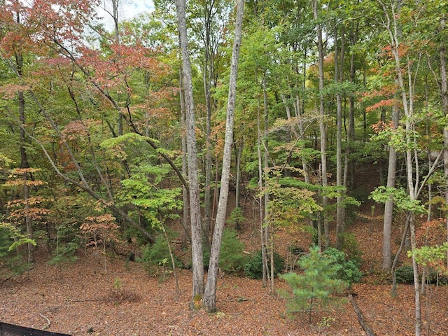 view of landscape