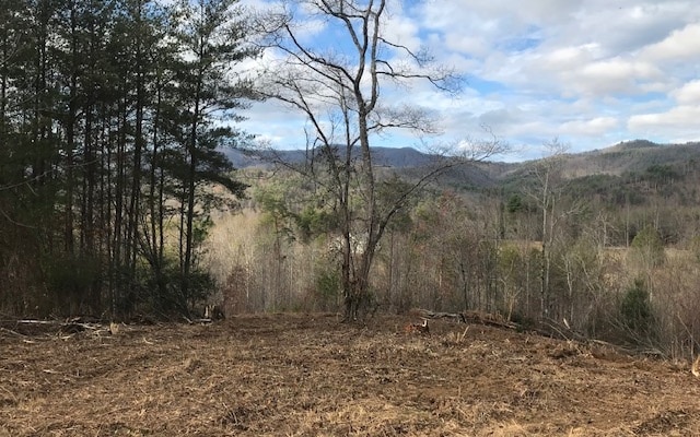 Listing photo 3 for A Sweetwater Bend Dr, Hayesville NC 28904