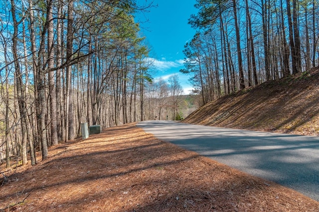 Listing photo 3 for LOT52 Mountain Creek Hollow Dr, Talking Rock GA 30175