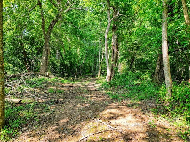 view of local wilderness with a view of trees