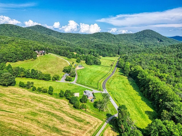 bird's eye view featuring a wooded view and a mountain view