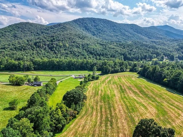 birds eye view of property featuring a mountain view and a view of trees