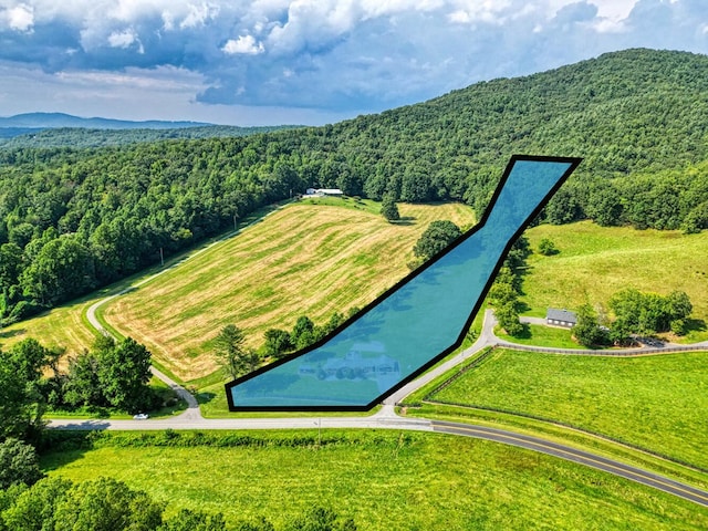 birds eye view of property with a forest view
