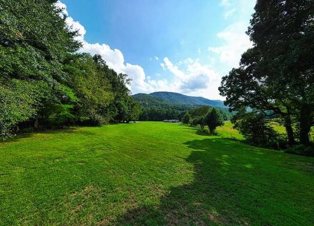 mountain view