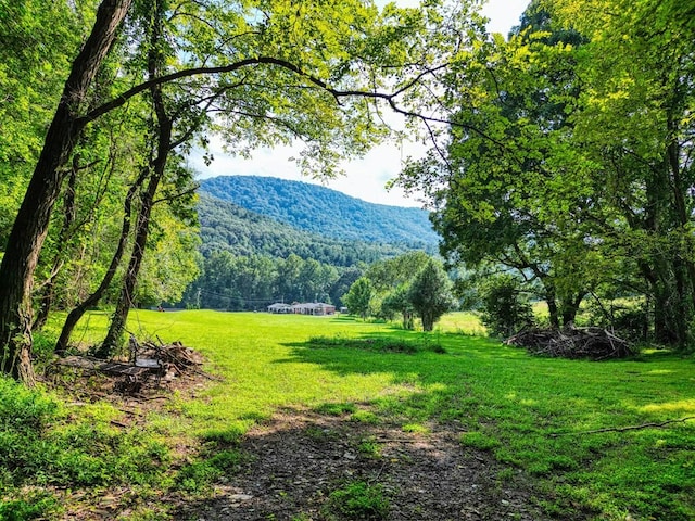 mountain view featuring a view of trees