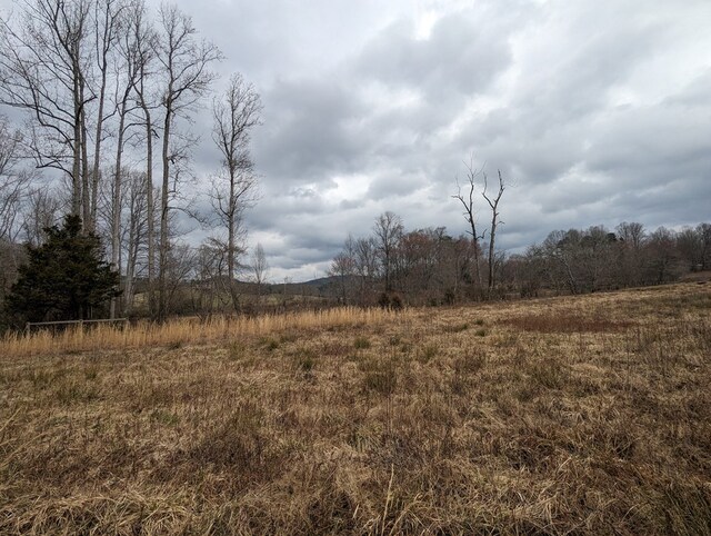 view of landscape with a rural view