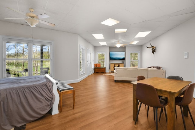 270 Milford Trl, Talking Rock, GA 30175 - dining room with a wealth of natural light, light wood finished floors, and a ceiling fan