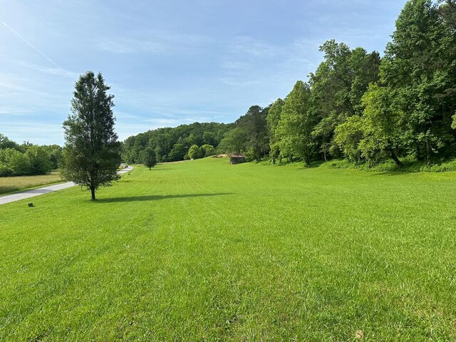 LOT44 Prosperity Dr, Warne NC, 28909 land for sale