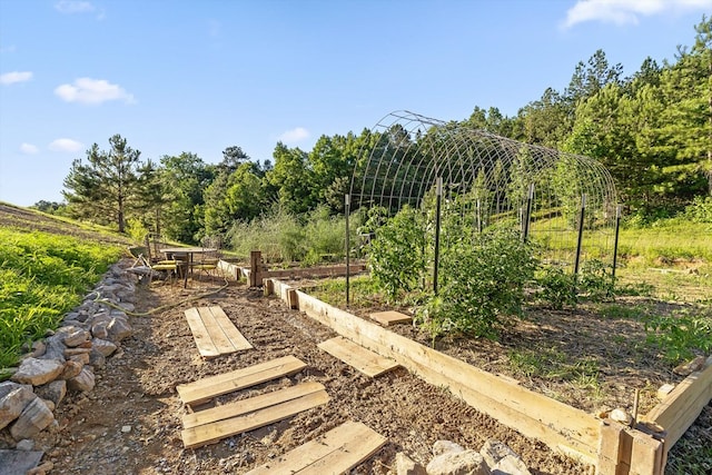 1667 S Old Federal Rd, Chatsworth, GA 30705 - view of yard featuring a garden