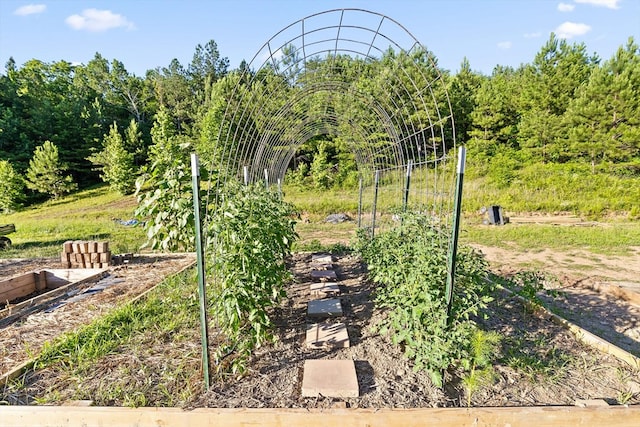 1667 S Old Federal Rd, Chatsworth, GA 30705 - view of yard