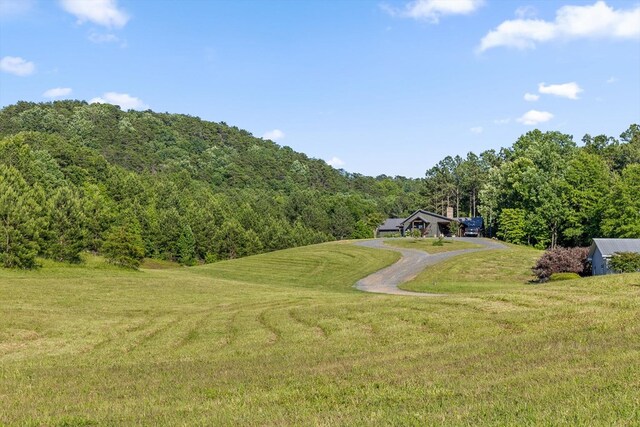 1667 S Old Federal Rd, Chatsworth, GA 30705 - surrounding community with a view of trees, a lawn, and dirt driveway