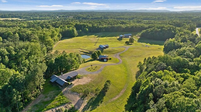 1667 S Old Federal Rd, Chatsworth, GA 30705 - aerial overview of property's location featuring a forest