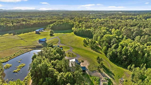 1667 S Old Federal Rd, Chatsworth, GA 30705 - view of property location with a forest and a large body of water