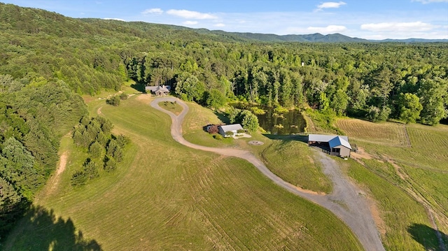 1667 S Old Federal Rd, Chatsworth, GA 30705 - aerial view of property's location with a forest and a mountain backdrop