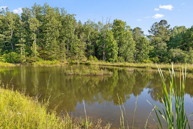 1667 S Old Federal Rd, Chatsworth, GA 30705 - water view with a heavily wooded area