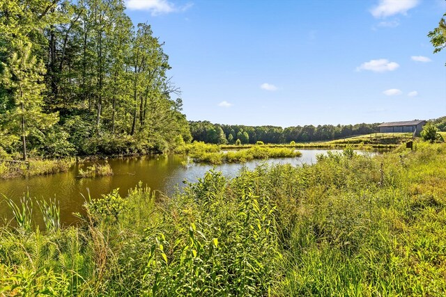 1667 S Old Federal Rd, Chatsworth, GA 30705 - water view
