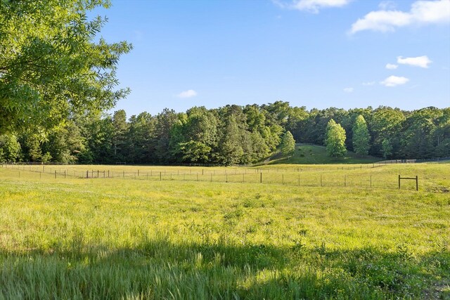 1667 S Old Federal Rd, Chatsworth, GA 30705 - view of yard featuring a rural view