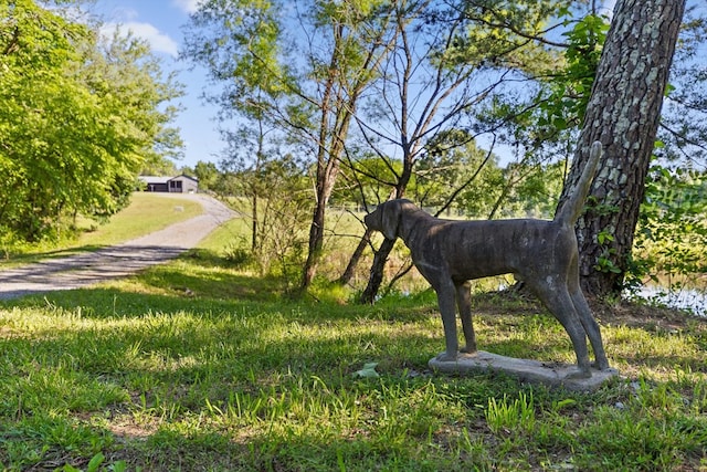 1667 S Old Federal Rd, Chatsworth, GA 30705 - view of property's community