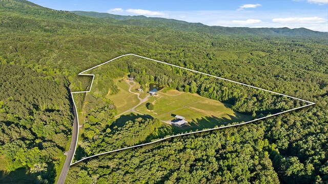 1667 S Old Federal Rd, Chatsworth, GA 30705 - aerial overview of property's location with a heavily wooded area, property parcel outlined, and a mountainous background
