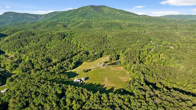 1667 S Old Federal Rd, Chatsworth, GA 30705 - aerial view of property's location featuring a heavily wooded area and mountains