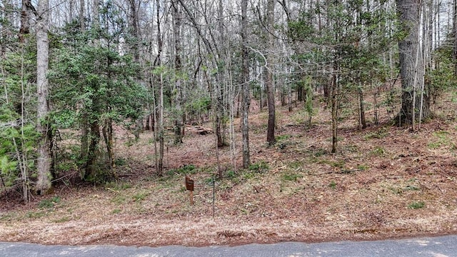 LOT14 Fiddlers Cv, Blairsville GA, 30512 land for sale