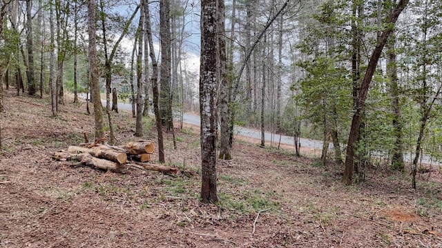 Listing photo 2 for LOT14 Fiddlers Cv, Blairsville GA 30512