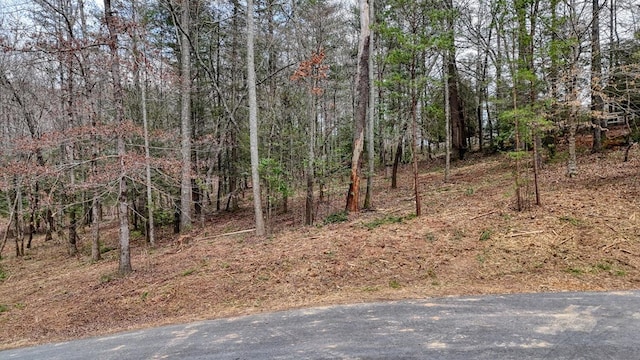 Listing photo 3 for LOT14 Fiddlers Cv, Blairsville GA 30512