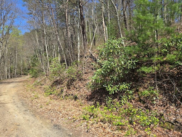 TRK1 Kimsey Mountain Hwy, Turtletown, TN 37391