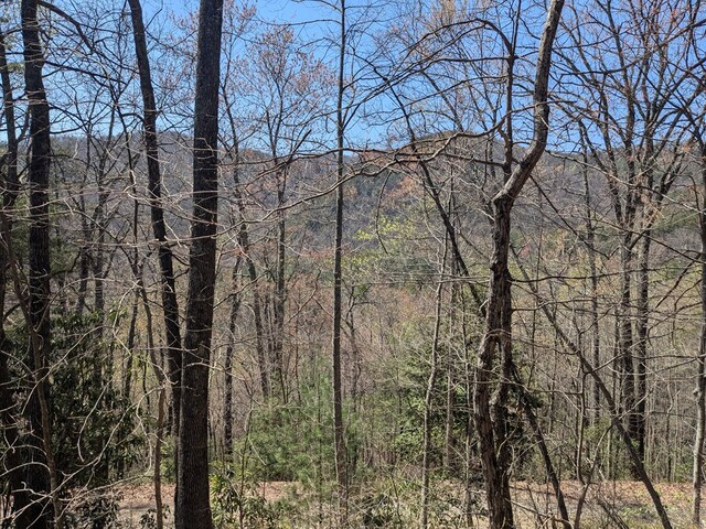 TRK1 Kimsey Mountain Hwy, Turtletown, TN 37391