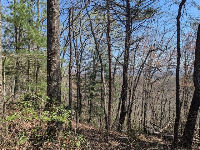 TRK1 Kimsey Mountain Hwy, Turtletown, TN 37391