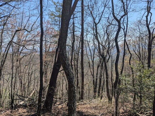 TRK1 Kimsey Mountain Hwy, Turtletown, TN 37391
