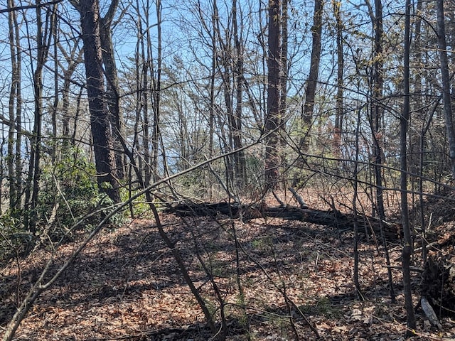 TRK1 Kimsey Mountain Hwy, Turtletown, TN 37391