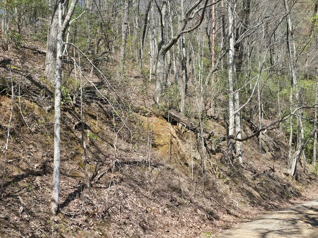 TRK1 Kimsey Mountain Hwy, Turtletown, TN 37391