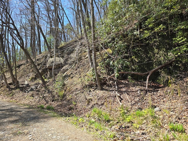 TRK1 Kimsey Mountain Hwy, Turtletown, TN 37391